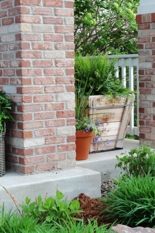 Plants, flowers and porch love!