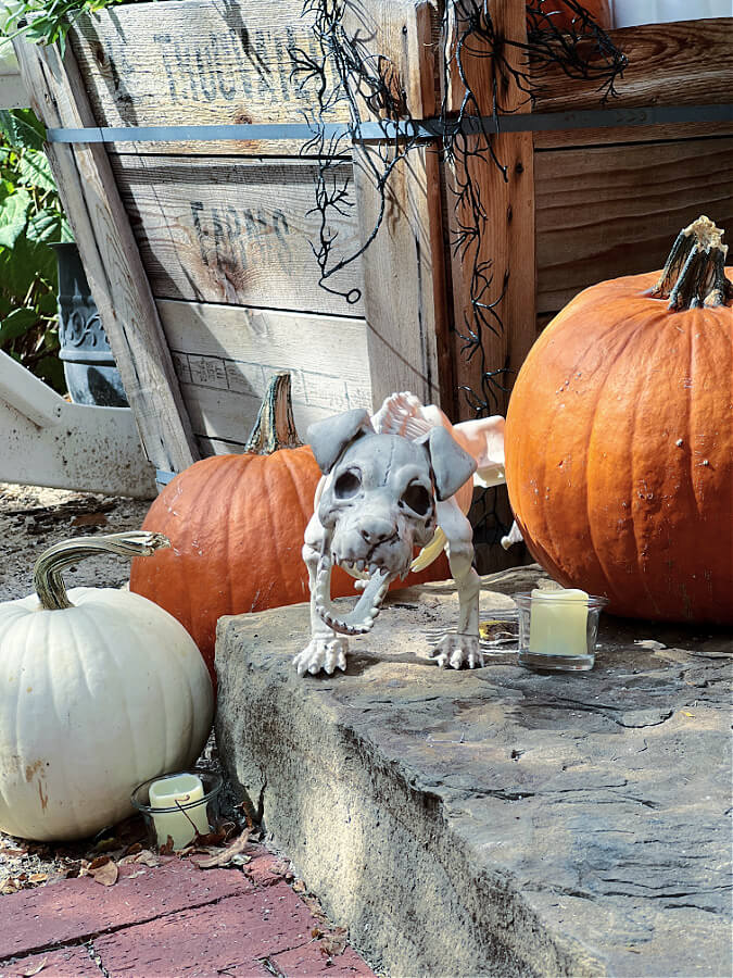 Halloween Porch Peek Skeleton Dog