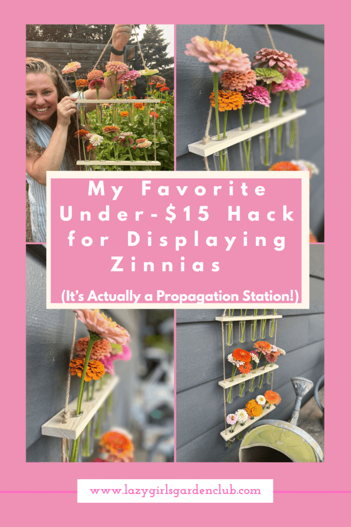 My favorite hanging wall vase for zinnias!