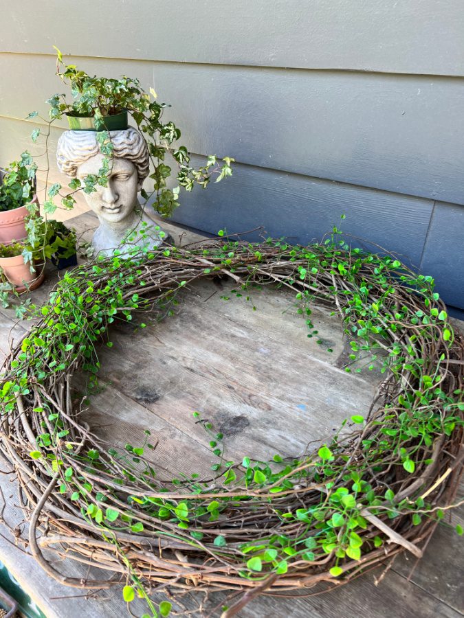 Faux greenery for the base of my wreath.
