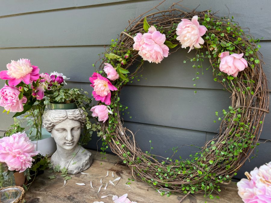 Adding pink peonies to my grapevine wreath.