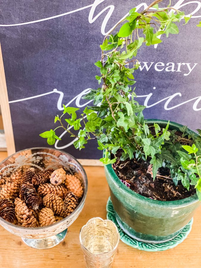 a simple DIY topiary.