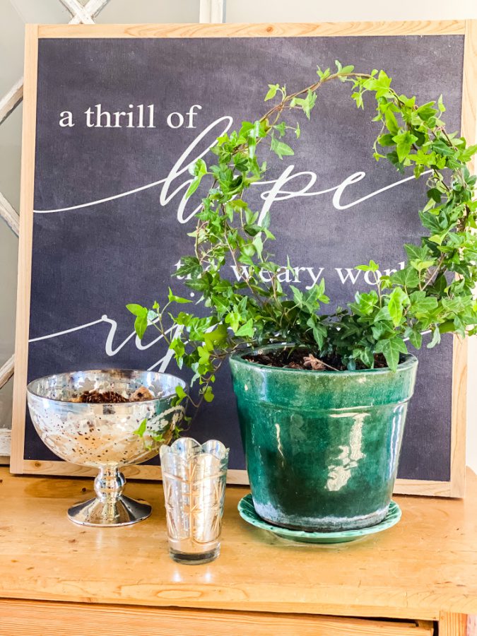 How To Make an Ivy Topiary From A Wire Hanger
