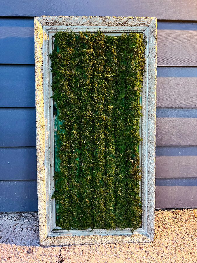 My moss covered pool noodles in a vintage frame.