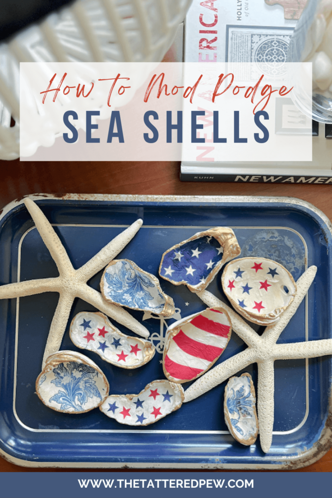 How to Mod Podge Sea Shells for Decor » The Tattered Pew