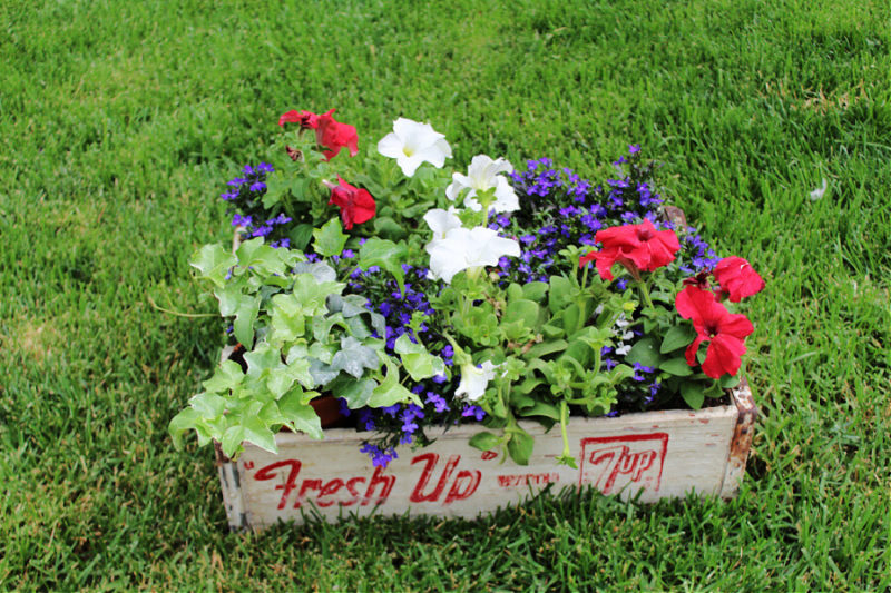 How To Repurpose a Vintage Soda Crate For Your Yard » Beauty with ease