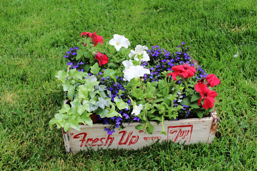 Vintage soda crate turned planter