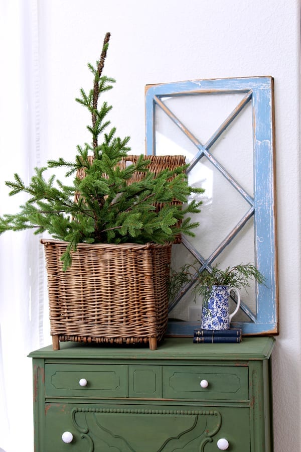 Winter trees and greens are the perfect touch for a cozy transiton from Christmas to winter decor.