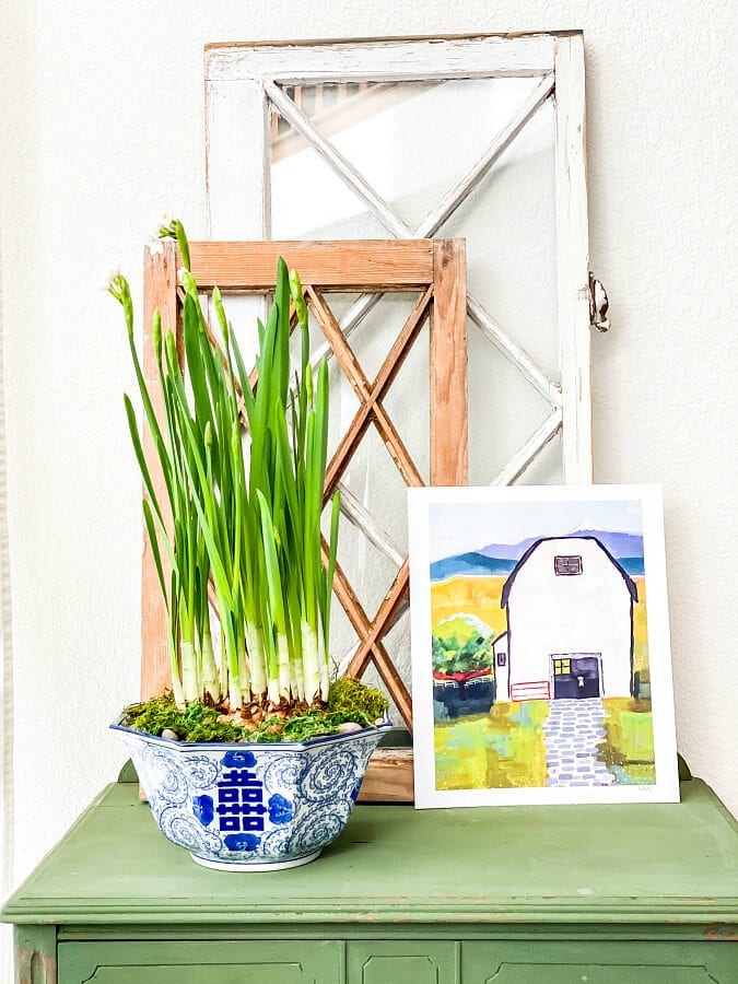 How To Grow and Use Paperwhites In Your Winter Decor