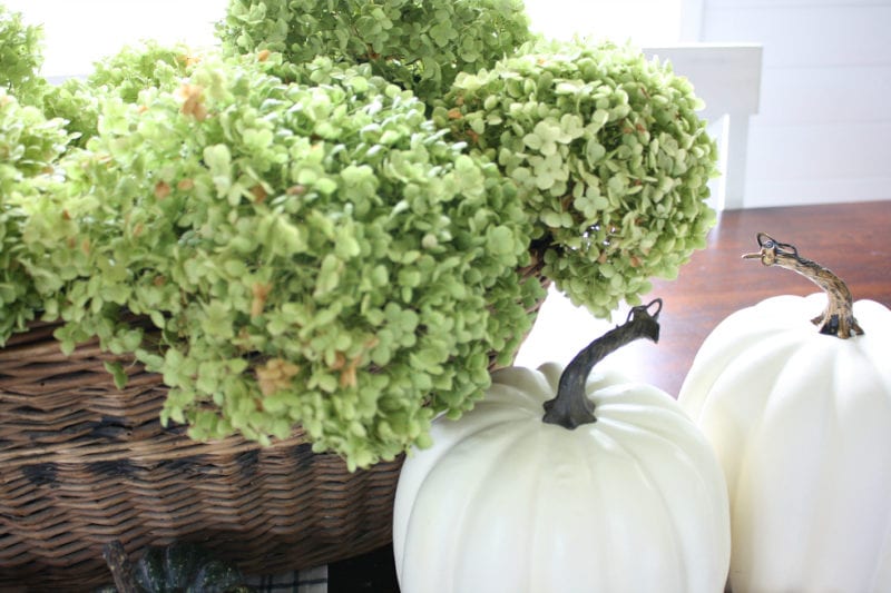 Dried hydrangeas and pumpkins