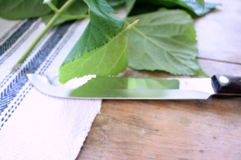 Non-serrated knife for cutting hydrangea stems