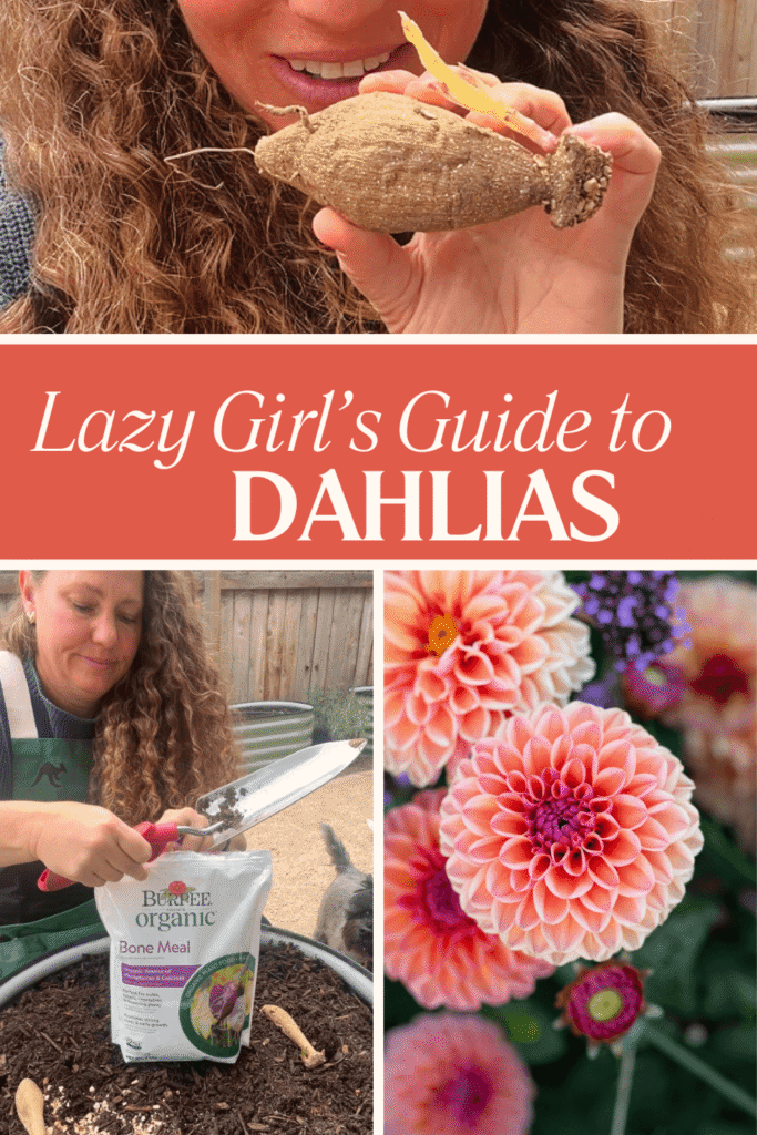 Dahlia Pin