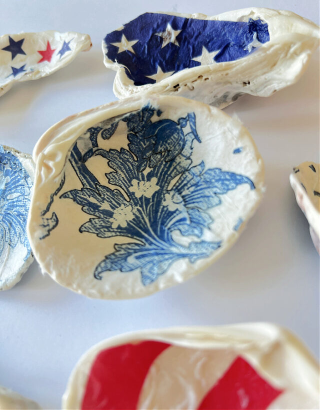 How to Mod Podge Sea Shells for Decor » Grow Beauty With Ease