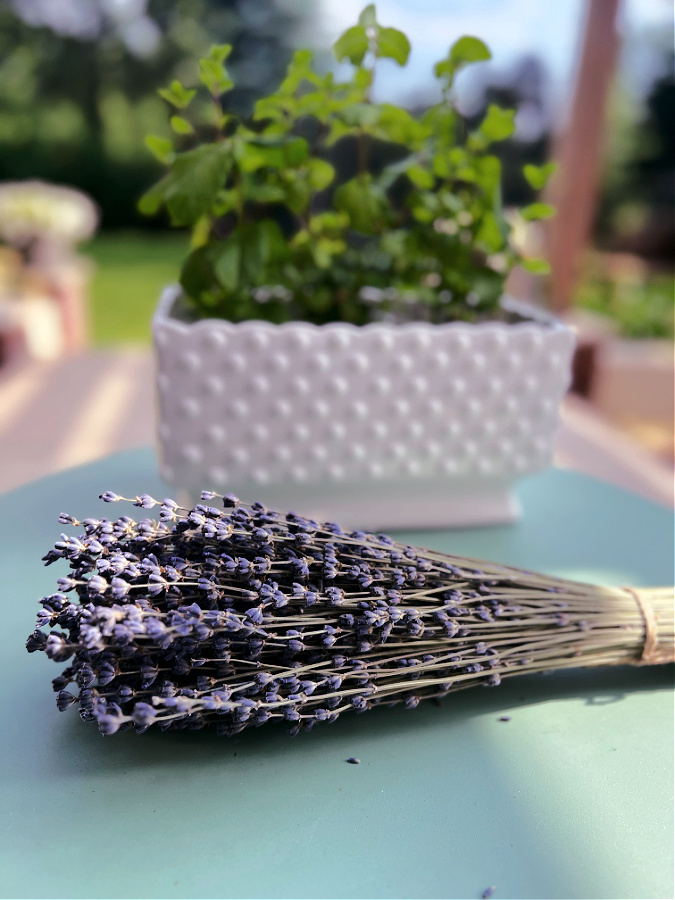 dried lavender flowers on table