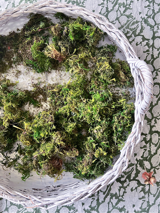 moss in white wicker basket tray