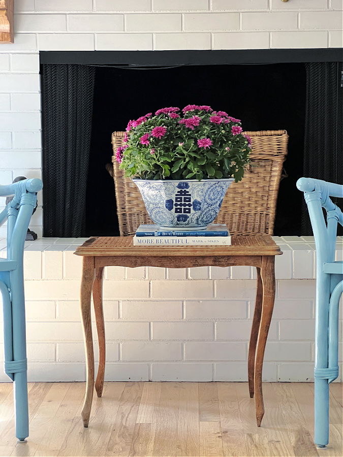 mums in a blue and white bowl on an old table