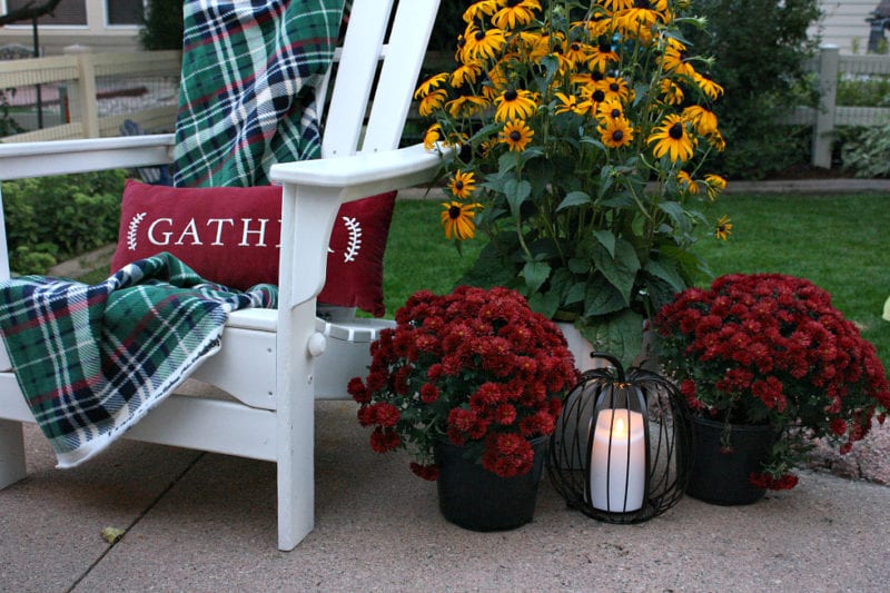 mums-on-patio