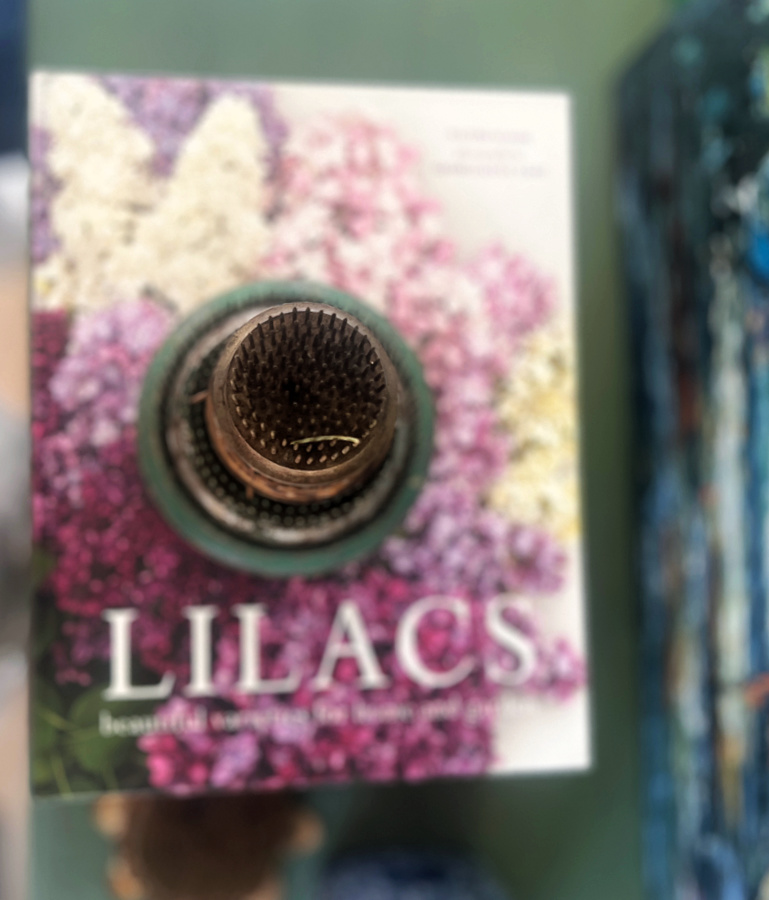 lilacs book close up