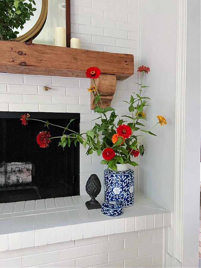 Keeping zinnias big in vases for pops of color and natural decor in our home.