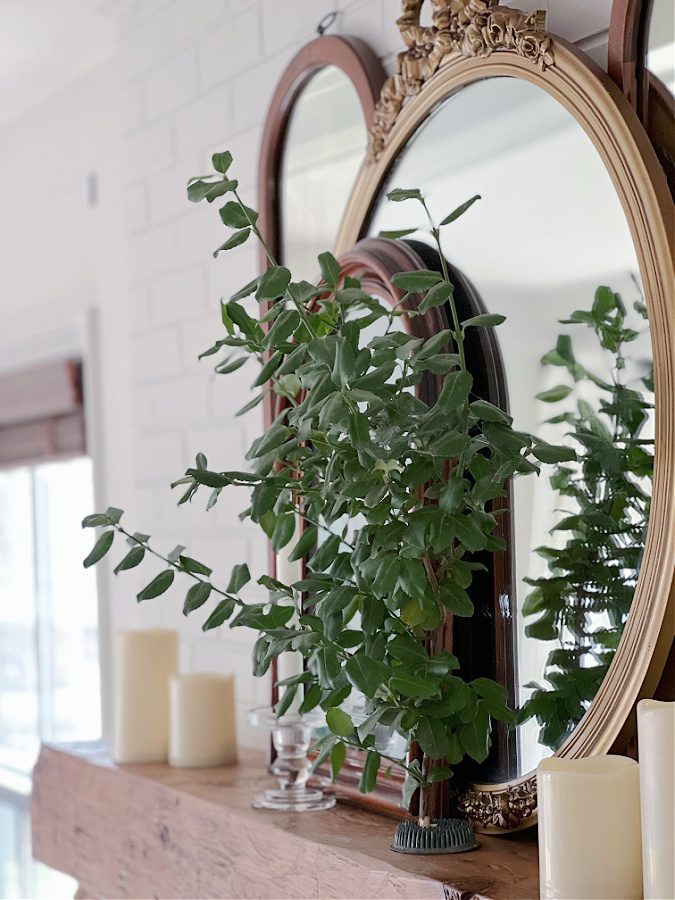 Natural greenery on mantel