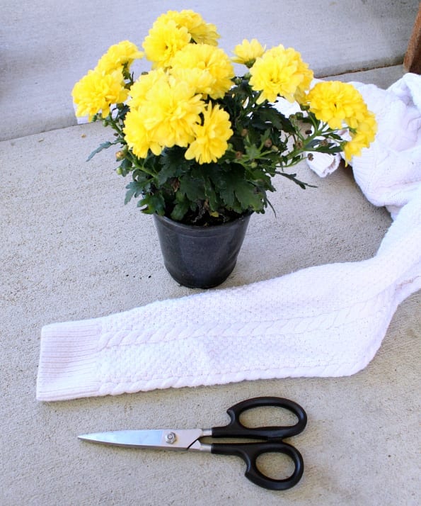 Cutting up an old sweater to cover your flower pots is a great way to add a fun fall touch to your containers.