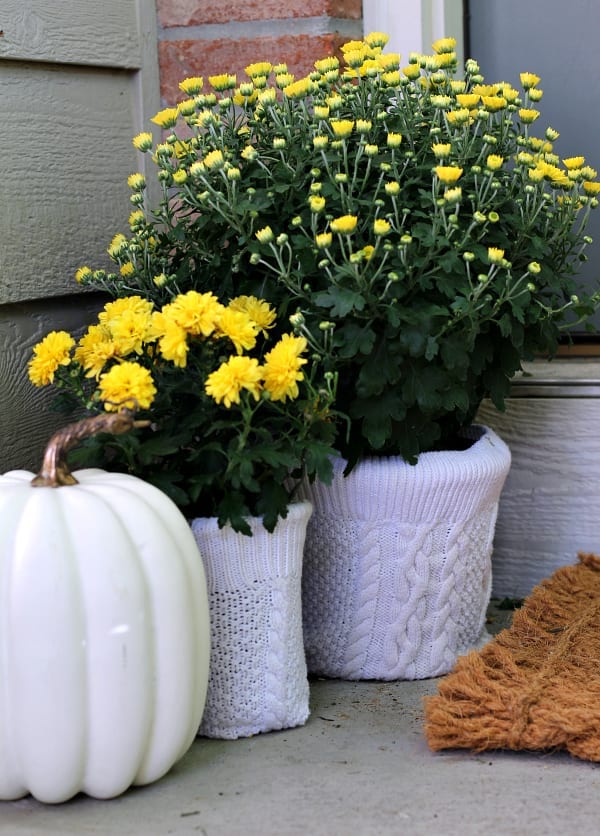 Easy no sew sweater flower pot covers for your Fall mums!