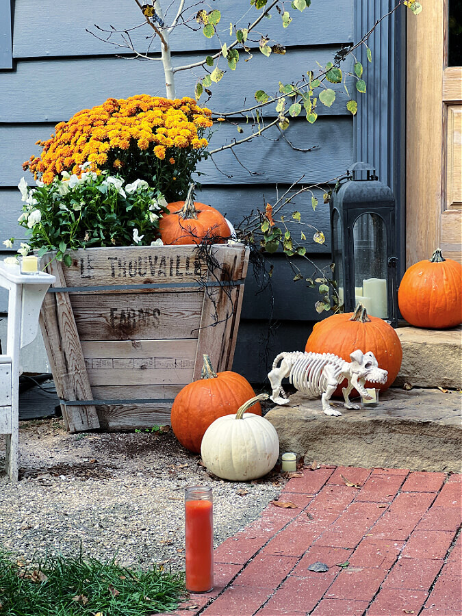 orange and white pumpkins on our steps for Halloween