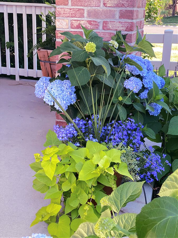 potted plants on our summer porch tour