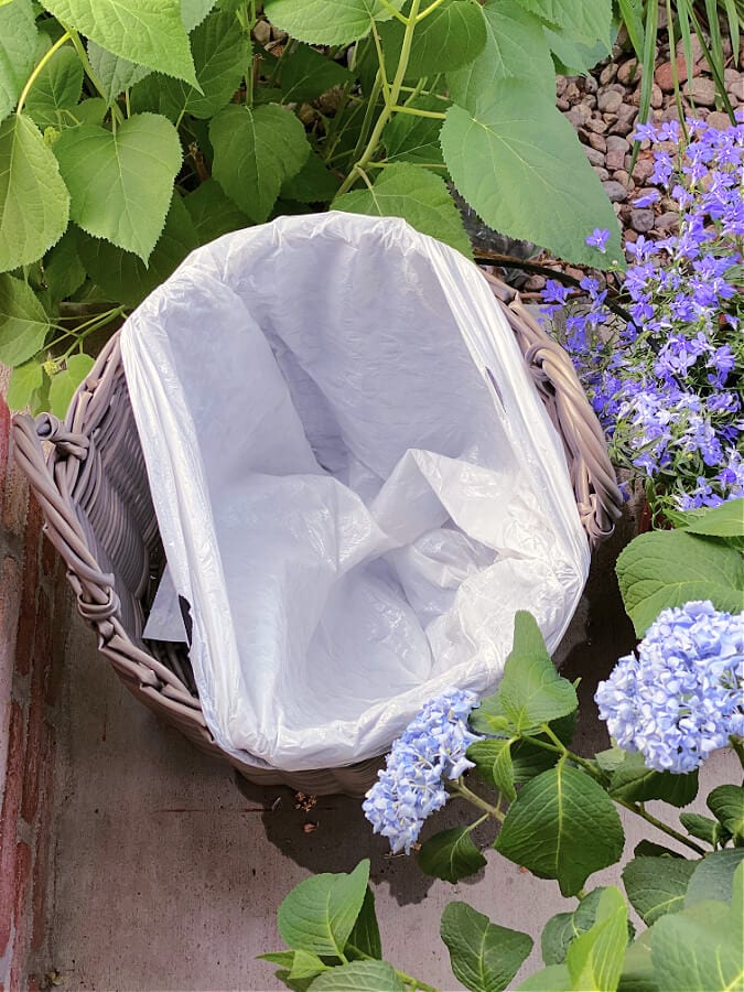 The hydrangea water hack you will love!