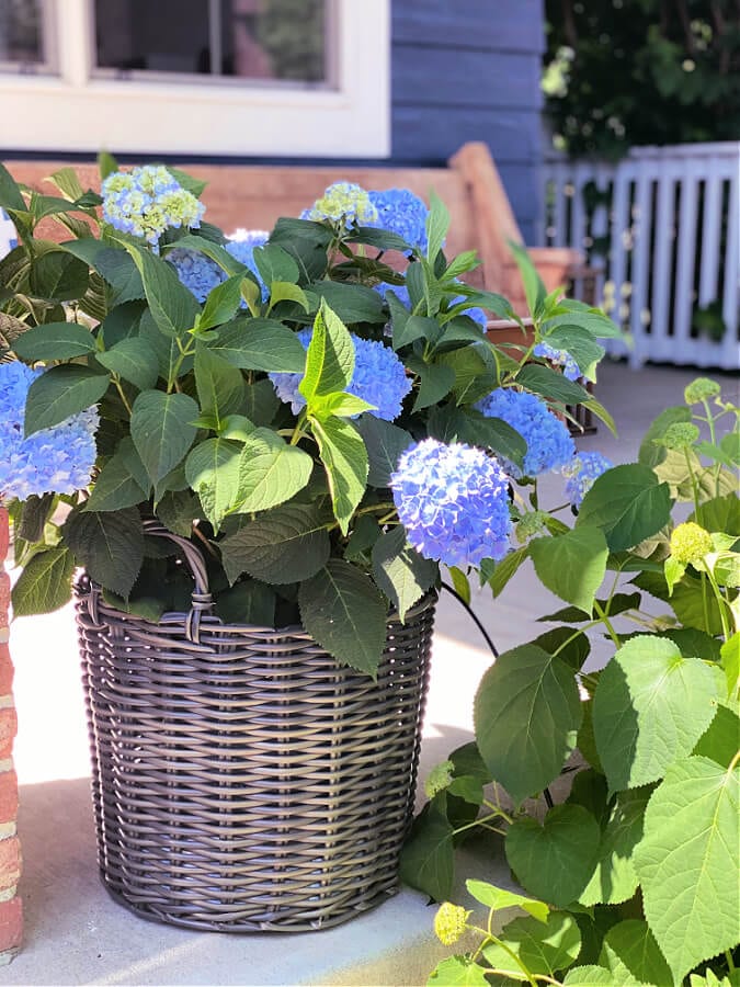 Our Summer Front Porch Tour