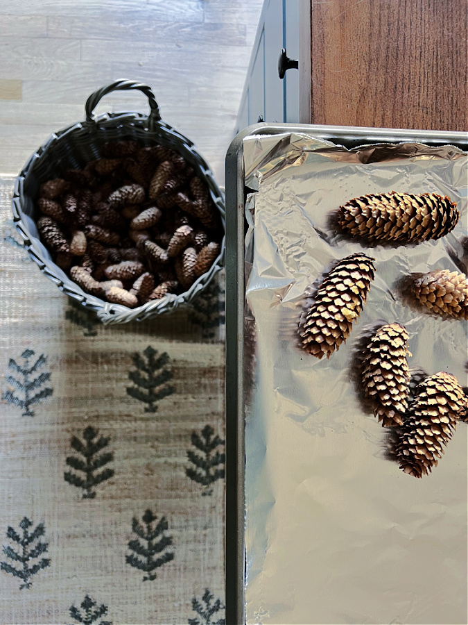 DIY Painted Pine Cones - Two Sisters