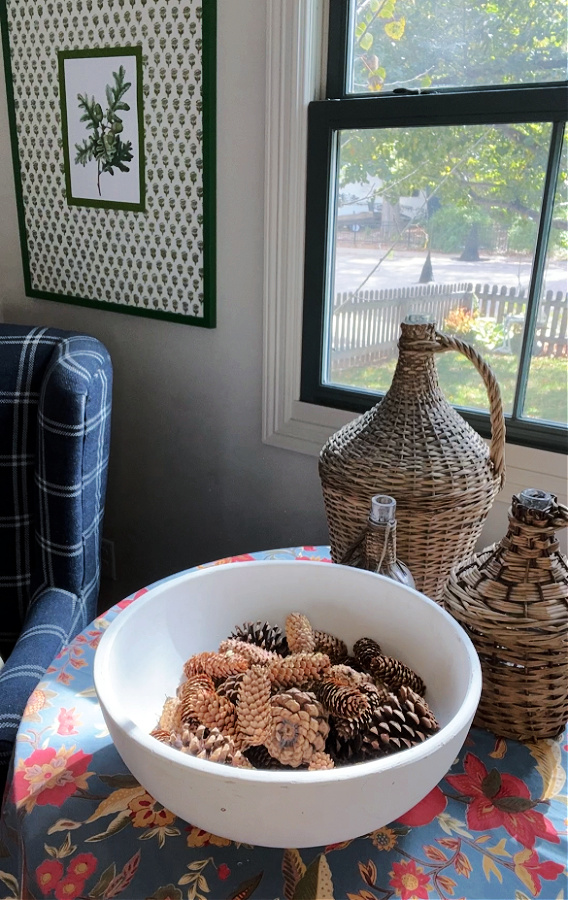 Filling white bowl with found pinecones for fall centerpiece