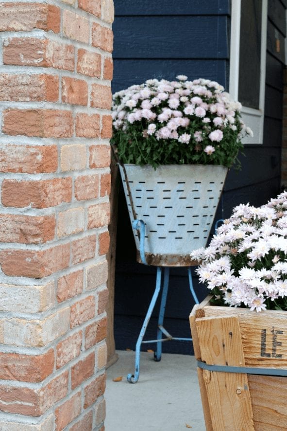 Mums in an olive bucket...the perfect collaboration for a Fall porch!