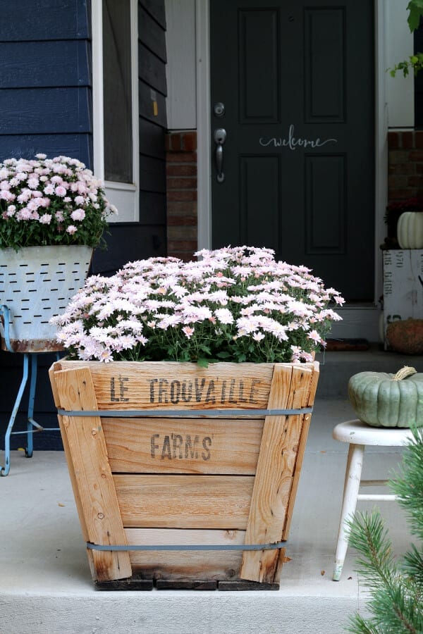 Pretty pink mums for our Fall porch decor!
