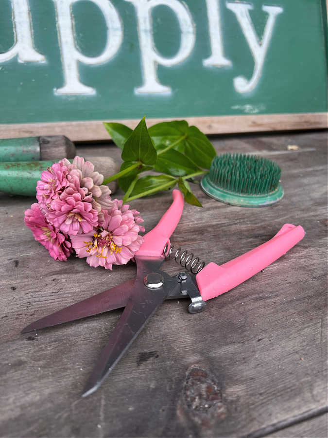 pink shears