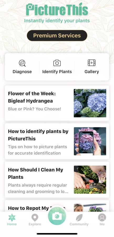 Are you a beginner gardener? You will love the Picture This Plant Finder app!