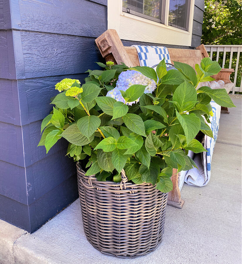 My new favorite outdoor baskets!