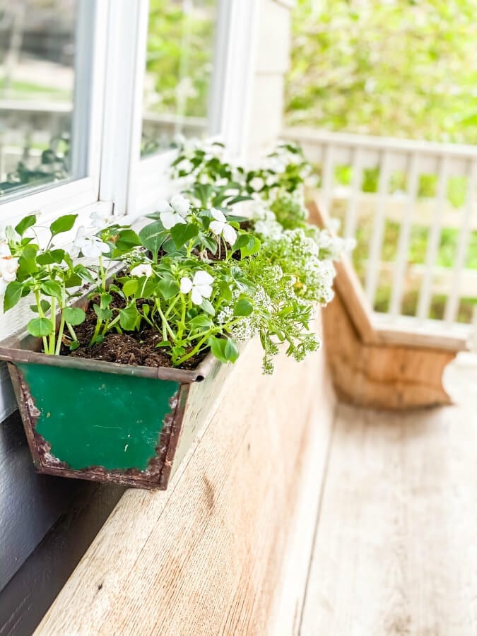 A makeshift window box becomes a focal point on our porch.