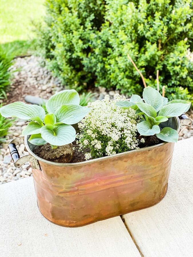 Copper boilers are perfect for spring plants and porches!