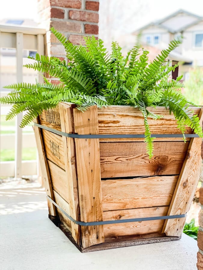 An old tree crate becomes a planter on our spring porch.