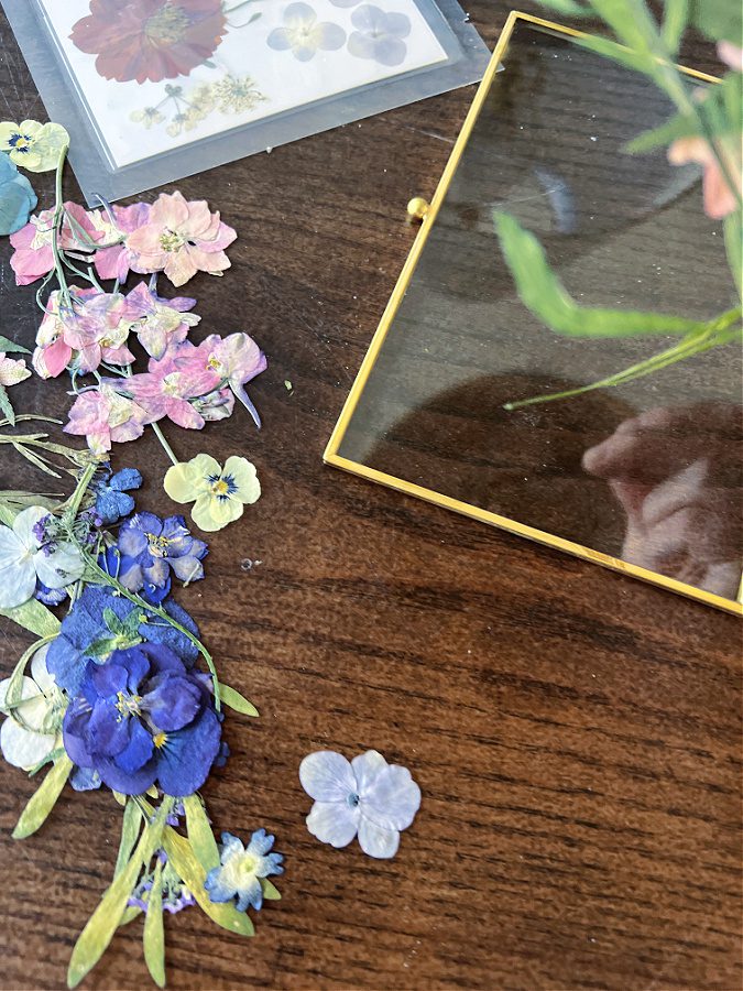 Pressed flowers with frame.