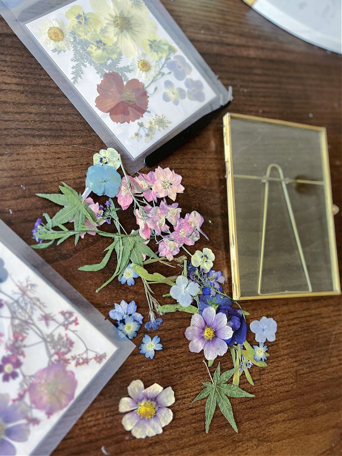A selection of pressed flowers getting ready to be framed.