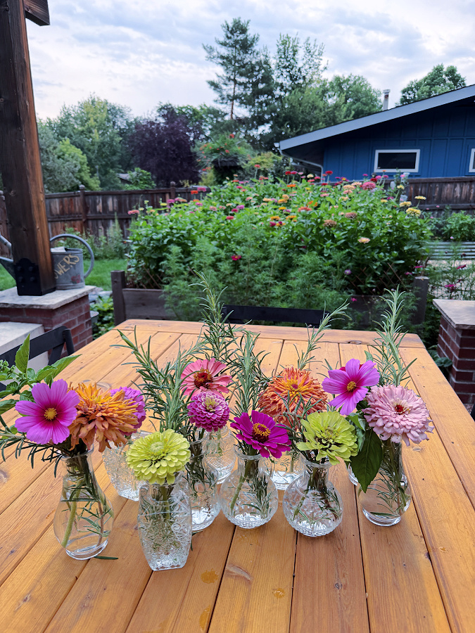clear bud vases