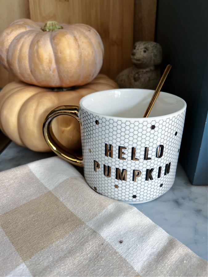 15+ Cozy Fall Decor Ideas From Amazon