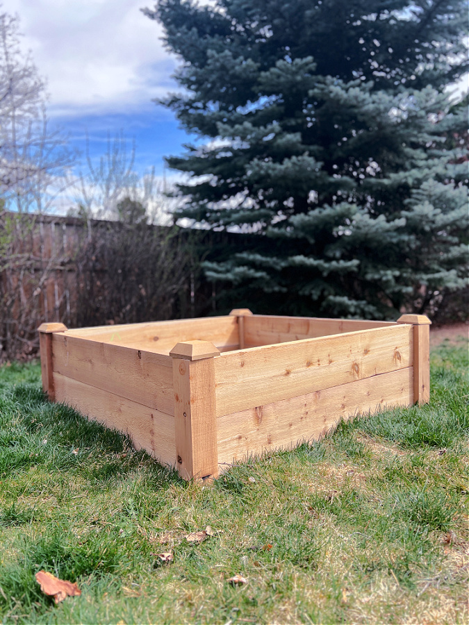 raised cedar bed