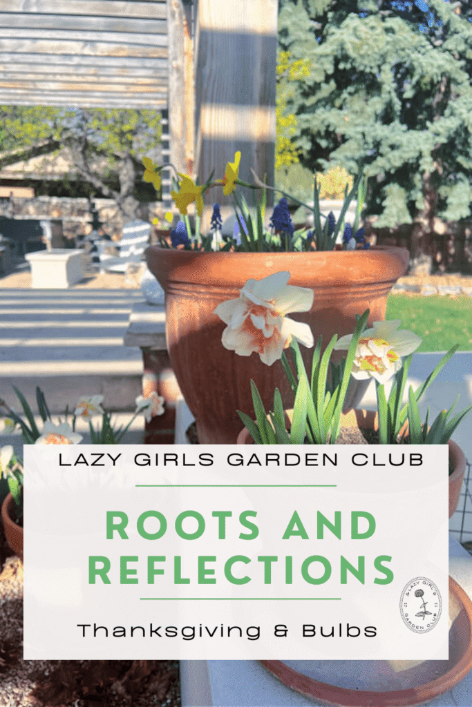 Roots and Reflections : Thanksgiving and Bulbs