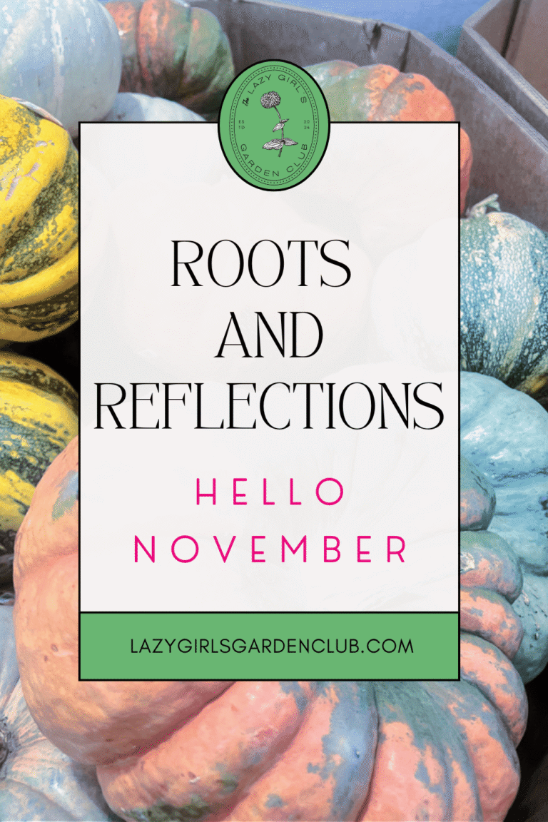 Roots and Reflections: Hello November