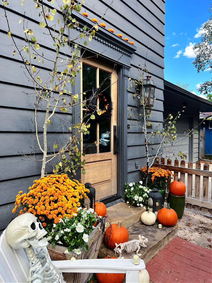Branches flanking the door for cheap and free Halloween decor