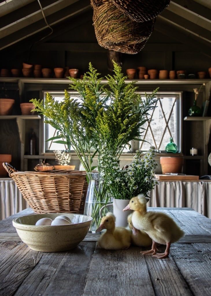 A simple Eurpoean spring table in a charming garden shed.