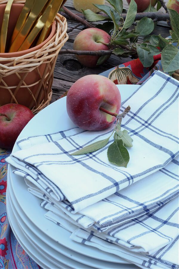 plaid blue and white napkins with apples for decor add pretty touches to this outdoor table setting.